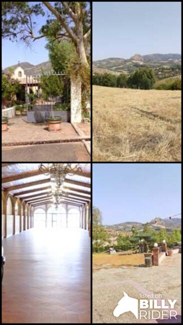 Andalusien, Provinz Cadiz, Olvera - Finca für turistische Nutzung, Gastronomie, Hotel, Reithotel .., Sabine Wesseln, Maras World of Horses (Maras World of Horses, Maras World Solutions S.L.), Equestrian Properties, Olvera, Image 9