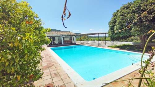 Andalusien, Provinz Cádiz, Villamartin - historischer Cortijo zu verkaufen!, Sabine Wesseln, Maras World of Horses (Maras World of Horses, Maras World Solutions S.L.), Equestrian Properties, Villamartin, Image 2
