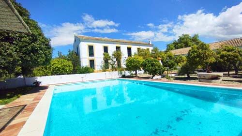 Andalusien, Provinz Cádiz, Villamartin - historischer Cortijo zu verkaufen!, Sabine Wesseln, Maras World of Horses (Maras World of Horses, Maras World Solutions S.L.), Equestrian Properties, Villamartin, Image 3