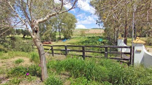 Andalusien, Provinz Cádiz, Villamartin - historischer Cortijo zu verkaufen!, Sabine Wesseln, Maras World of Horses (Maras World of Horses, Maras World Solutions S.L.), Equestrian Properties, Villamartin, Image 9