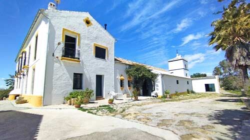 Andalusien, Provinz Cádiz, Villamartin - historischer Cortijo zu verkaufen!, Sabine Wesseln, Maras World of Horses (Maras World of Horses, Maras World Solutions S.L.), Equestrian Properties, Villamartin, Image 5