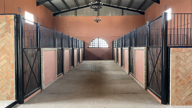 Andalusien, Provinz Huelva, Paterna del Campo - grosse Finca für Pfere/ Rinder zu verkaufen, Sabine Wesseln, Maras World of Horses (Maras World of Horses, Maras World Solutions S.L.), Equestrian Properties, Paterna del Campo, Image 6