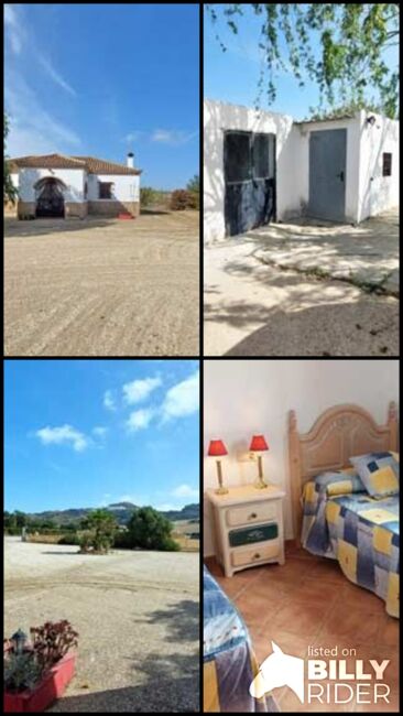 Andalusien, Medina Sidonia - Finca mit 2 Pferdeboxen zu verkaufen, Sabine Wesseln, Maras World of Horses (Maras World Solutions S.L.), Equestrian Properties, Medina Sidonia, Image 11