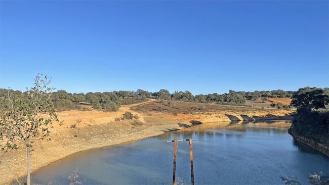 Andalusien, Provinz Huelva, Paterna del Campo - grosse Finca für Pfere/ Rinder zu verkaufen, Sabine Wesseln, Maras World of Horses (Maras World of Horses, Maras World Solutions S.L.), Equestrian Properties, Paterna del Campo, Image 9