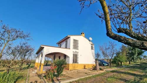 Andalusien, Provinz Huelva, Rociana del Condado - Finca, Haus mit 4 ha Land zu verkaufen, Sabine Wesseln, Maras World of Horses (Maras World of Horses, Maras World Solutions S.L.), Equestrian Properties, Rociana del Condado, Image 2