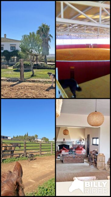 Andalusien, Provinz Huelva, Paterna del Campo - grosse Finca für Pfere/ Rinder zu verkaufen, Sabine Wesseln, Maras World of Horses (Maras World of Horses, Maras World Solutions S.L.), Equestrian Properties, Paterna del Campo, Image 11