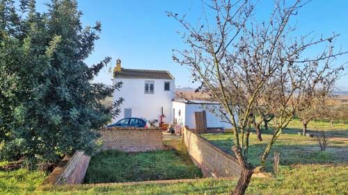 Andalusien, Provinz Huelva, Rociana del Condado - Finca, Haus mit 4 ha Land zu verkaufen, Sabine Wesseln, Maras World of Horses (Maras World of Horses, Maras World Solutions S.L.), Equestrian Properties, Rociana del Condado, Image 3