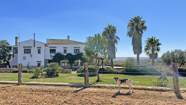 Andalusien, Provinz Huelva, Paterna del Campo - grosse Finca für Pfere/ Rinder zu verkaufen, Sabine Wesseln, Maras World of Horses (Maras World of Horses, Maras World Solutions S.L.), Pferdeimmobilien, Paterna del Campo