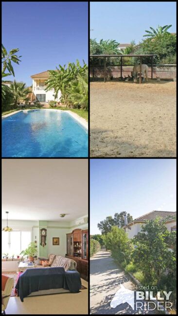 Andalusien, Provinz Sevilla, La Puebla del Rio - Haus mit Pferdestall zu verkaufen, Sabine Wesseln, Maras World of Horses (Maras World of Horses, Maras World Solutions S.L.), Pferdeimmobilien, La Puebla del Rio, Abbildung 13