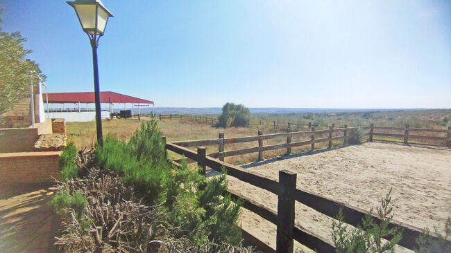 Andalusien, Provinz Huelva, Paterna del Campo - grosse Finca für Pfere/ Rinder zu verkaufen, Sabine Wesseln, Maras World of Horses (Maras World of Horses, Maras World Solutions S.L.), Nieruchomości jeździeckie, Paterna del Campo, Image 5