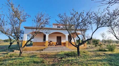 Andalusien, Provinz Huelva, Rociana del Condado - Finca, Haus mit 4 ha Land zu verkaufen, Sabine Wesseln, Maras World of Horses (Maras World of Horses, Maras World Solutions S.L.), Nieruchomości jeździeckie, Rociana del Condado