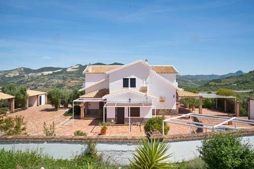 Andalusien, Provinz Cadiz, Olvera - Finca mit Pool, Oliven, Sabine Wesseln, Maras World of Horses (Maras World Solutions S.L.), Nieruchomości jeździeckie, Olvera