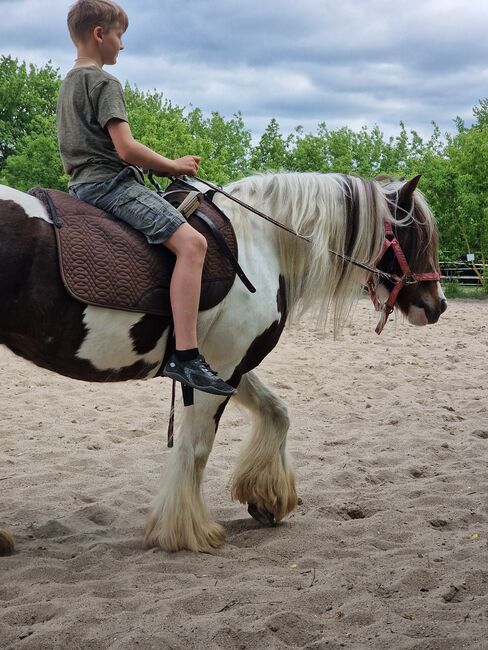 Anfänger pferd kinderpony lehrpferd, Yvonne , Pferd kaufen, Grimma, Abbildung 5