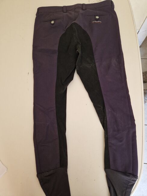 Animation Reithose Gr. D-50, Animo, Julia , Men's Breeches & Jodhpurs, Oberzent , Image 4