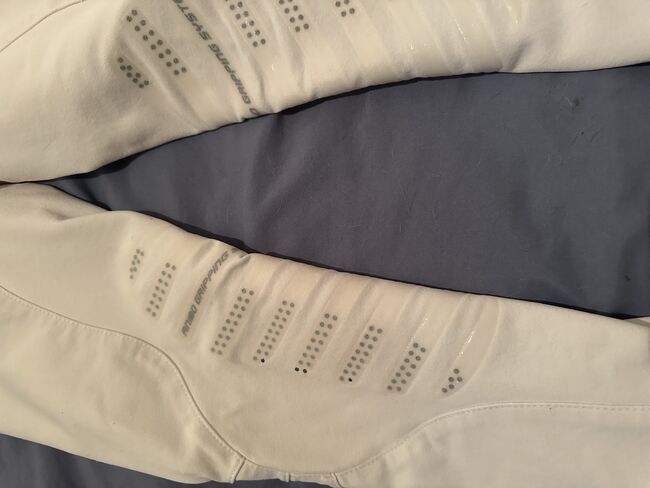 Animo Reithose, Animo, Isabelle Saladin, Reithosen, Hofstetten , Abbildung 3