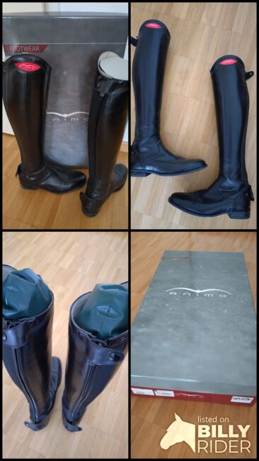 Animo Zen Reitstiefel, Animo Zen, DAB, Riding Boots, Rüttenen, Image 7