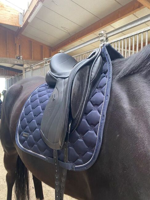 Anke Just Dressursattel, Anke Just  Sankey Just LS MW, Inge Willmann, Dressage Saddle, Nufringen, Image 5