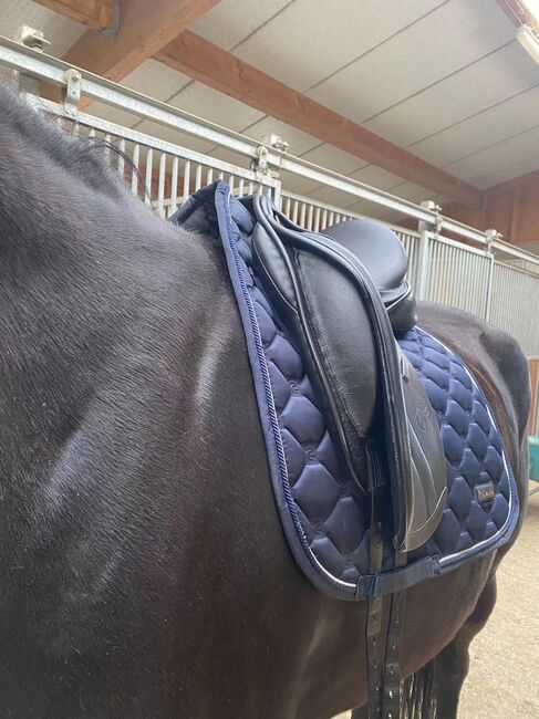 Anke Just Dressursattel, Anke Just  Sankey Just LS MW, Inge Willmann, Dressage Saddle, Nufringen, Image 6