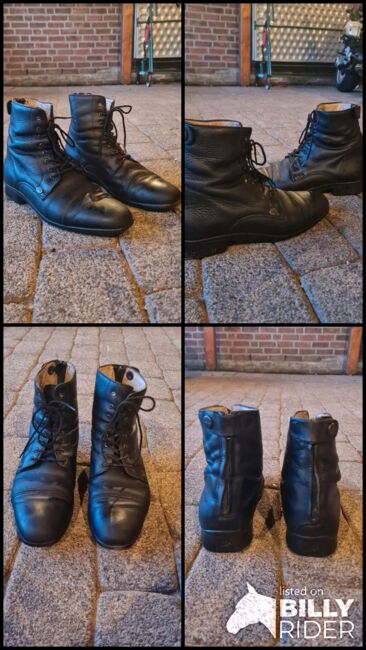 Stiefeletten Felix Brühler Venezia 40, Felix Bühler , Hannah, Jodhpur Boots, Winsen, Image 6