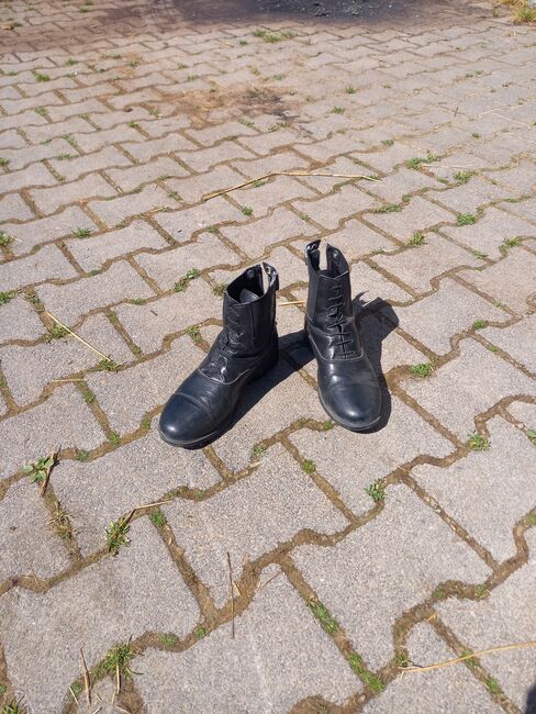 Stiefeletten Reitschuhe 37, Franzi, Jodhpur Boots, Ebsdorfergrund, Image 2