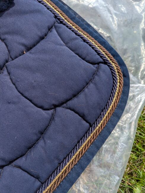 Anna Scarpati Turnierset, Anna Scarpati / ASUP Turnierset, Stephanie Heyl, Dressage Pads, Riedstadt , Image 3