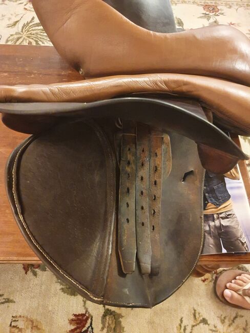 Antarès Springsattel 17,5", Antarès CSO Connexion, DI Sandor Csikos-Nagy, Jumping Saddle, Salzweg, Image 12