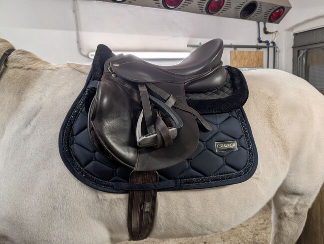 Kentaur Apollon, Kentaur  Apollon, Nicole Janosch , Jumping Saddle, Hohenberg-Krusemark 