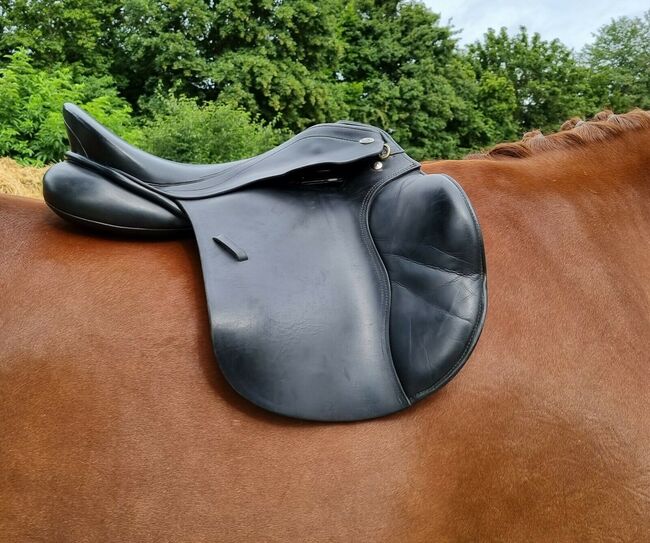 Kentaur Apollon, Kentaur Vielseitigkeitssattel, Melanie, All Purpose Saddle, Steinheim
