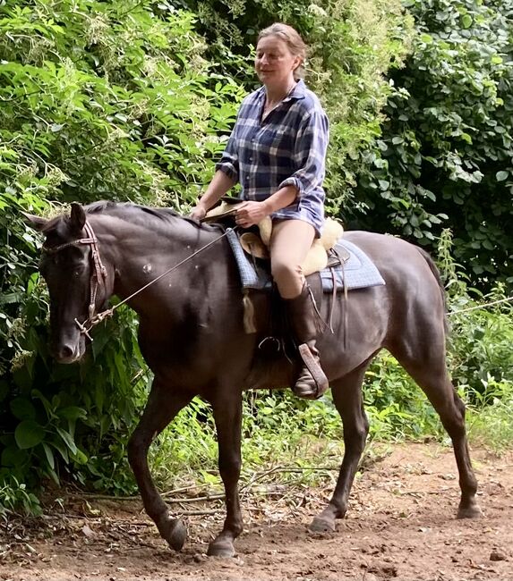 Appaloosa Stute, Claudia Pentrop , Horses For Sale, Porta Westfalica , Image 2