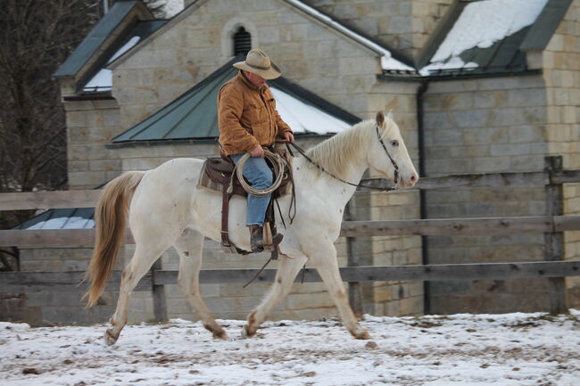 Appaloosa Stute, perfekt fùr ausreiten, Asya, Horses For Sale, St. Leonhard in Pass.