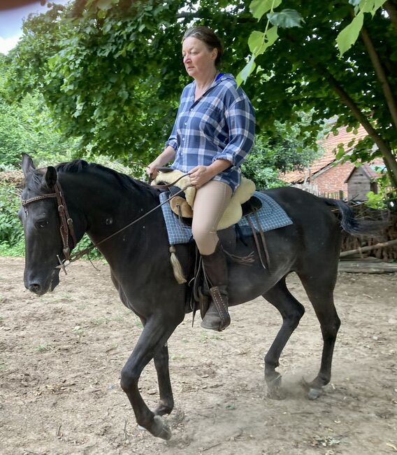 Appaloosa Stute, Claudia Pentrop , Pferd kaufen, Porta Westfalica , Abbildung 16