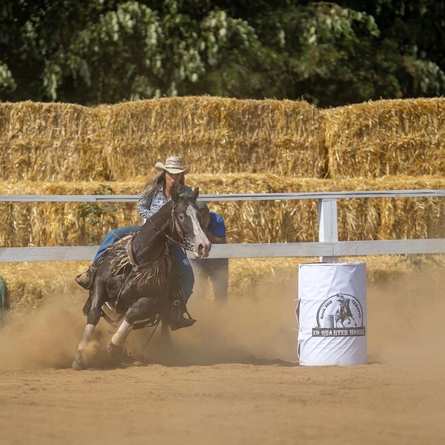 AQH x APPA, Timea, Horses For Sale, Revúca, Image 7