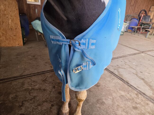 Abschwitzdecke Aquamarine 130cm, Jenny, Horse Blankets, Sheets & Coolers, Schweinfurt, Image 2