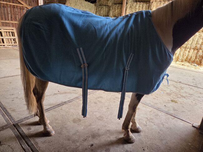 Abschwitzdecke Aquamarine 130cm, Jenny, Horse Blankets, Sheets & Coolers, Schweinfurt, Image 3
