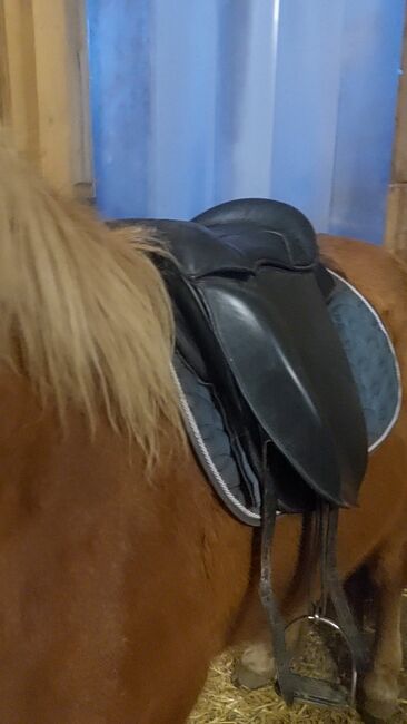 Aquila ​Reitkissen baumloser Sattel Töltkissen Reitpad, Aquila , Isilife, Reitpad, Theisseil, Abbildung 2