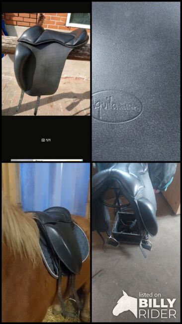 Aquila ​Reitkissen baumloser Sattel Töltkissen Reitpad, Aquila , Isilife, Bareback pads, Theisseil, Image 6
