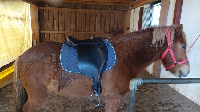 Aquila ​Reitkissen baumloser Sattel Töltkissen Reitpad, Aquila , Isilife, Bareback pads, Theisseil, Image 3