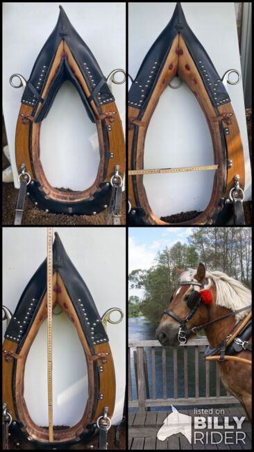 Arbeits - Spitzkummet, Sattlerei Blaser Spitzkummet, Monika Staub, Horse Harness, Dätwil bei Andelfingen, Image 6