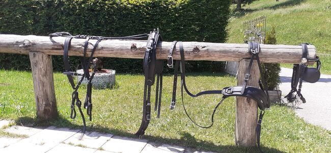 Einspänner Geschirr Biothane ARDEN Warmblut, ARDEN, Silke Blank, Horse Harness, Sulzberg