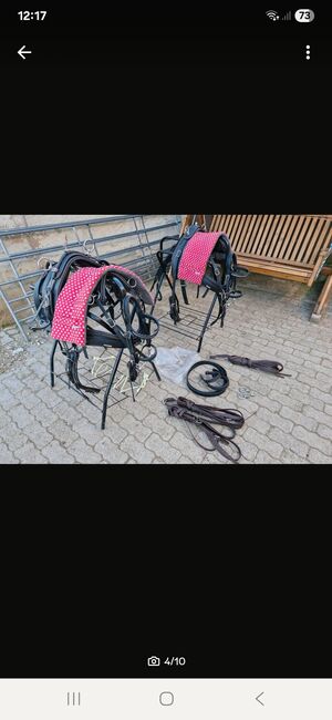 Arden Shetlandpony-Kombigeschirr aus Biothane, Arden Kombigeschirr, Madeleine , Horse Harness, Heidenheim , Image 3