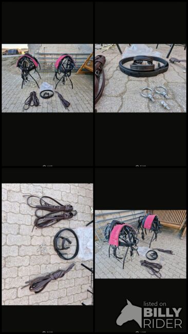 Arden Shetlandpony-Kombigeschirr aus Biothane, Arden Kombigeschirr, Madeleine , Horse Harness, Heidenheim , Image 7