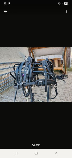 Arden Shetlandpony-Kombigeschirr aus Biothane, Arden Kombigeschirr, Madeleine , Horse Harness, Heidenheim , Image 6
