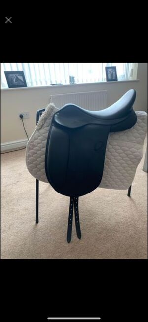 Arena WIDE Cob dressage Saddle, Arena Arena WIDE Cob dressage   Saddle, stephanie wright, Dressursattel, Coventry