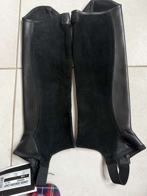 Arian Reitchaps, neu, Top Angebot, Ariat Junior Concord Chap, C. Schüler, Half Chaps, Hünxe, Image 6