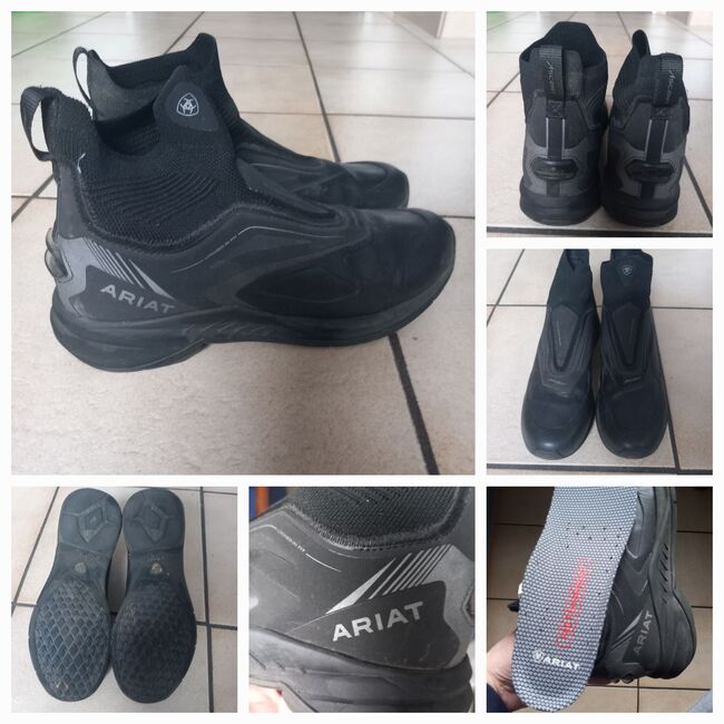 Ariat Ascent Stiefelette Gr 39, Ariat  Ascent , YH , Jodhpur Boots, Waltrop