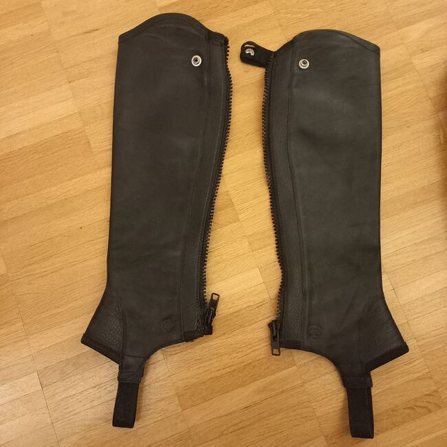 Ariat Chaps Concord, Ariat Concord, DAB, Half Chaps, Rüttenen, Image 2