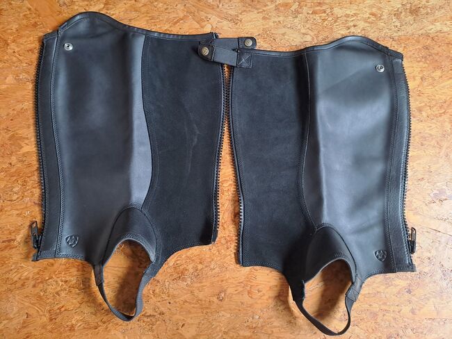 Ariat Concord Half-Chap Gr. S, Ariat Concord Half-Chap , Arnold, Half Chaps, Neumarkt , Image 2