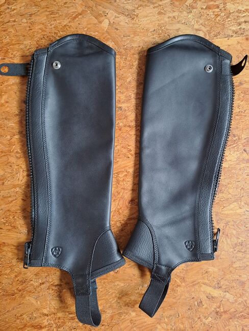 Ariat Concord Half-Chap Gr. S, Ariat Concord Half-Chap , Arnold, Half Chaps, Neumarkt , Image 3