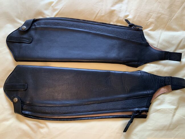 Ariat Crowne Pro Chaps -  riding system - leather, Ariat Crowne Pro Chap, Barbara Avery, Czapsy i sztylpy, Newton Stewart, Image 2