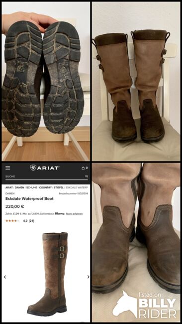 Ariat Eskdale Stiefel, Ariat, Lena, Riding Boots, Essen, Image 8